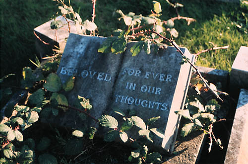 Bible, Beloved for ever in our thoughts